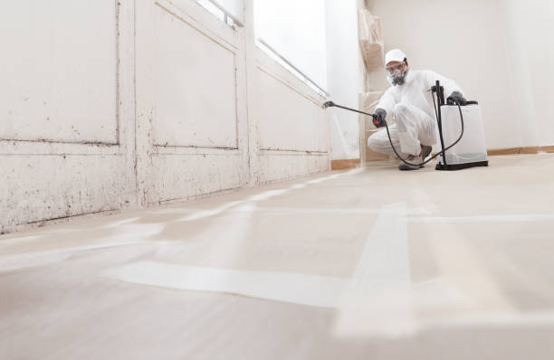 24/7 Emergency Mold Remediation experts in Broad Top, PA